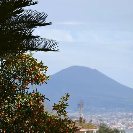 Appartamento Casa Del Cedro Napoli
