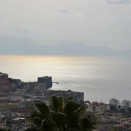 Casa Del Cedro Napoli