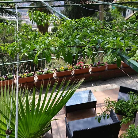 Apartamento Casa Del Cedro