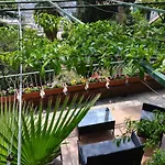 Apartmán Casa Del Cedro